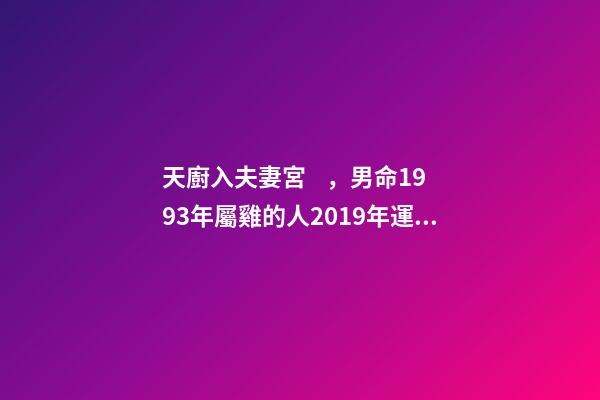 天廚入夫妻宮，男命1993年屬雞的人2019年運程